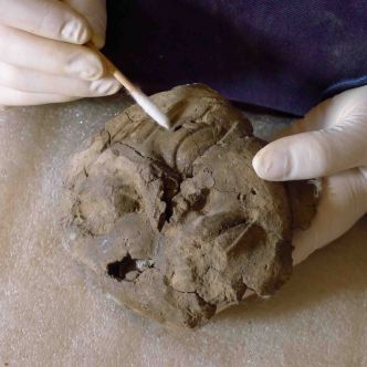 Cleaning of a terracotta mask